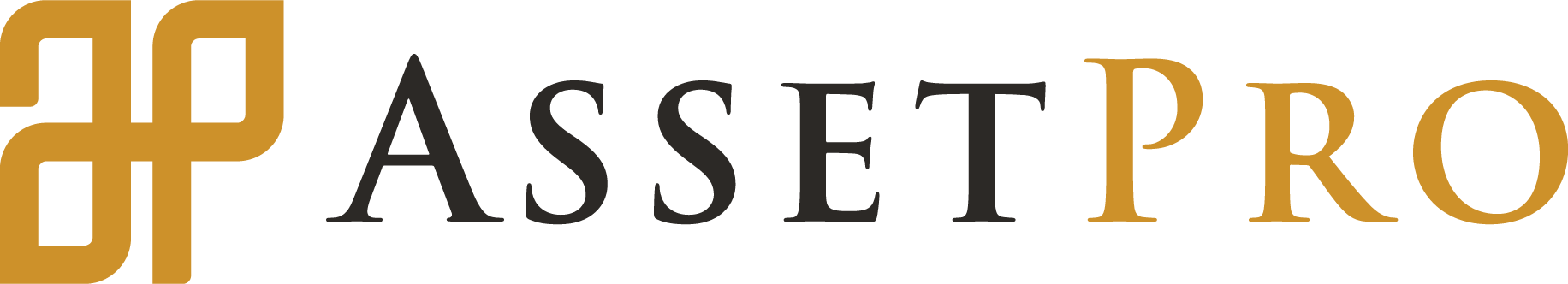 AssetPro